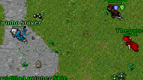Trinho Slayer on screen