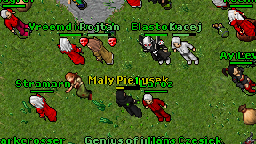 Maly Piegusek on screen
