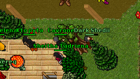 Cavrone on screen