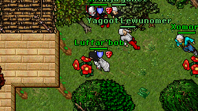Luffar'bob on screen
