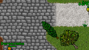 Saphores on screen