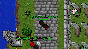 Meave Sorcer on screen