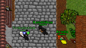 Kondzikus on screen