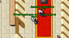 Vitorfantasy of Rookgaard on screen
