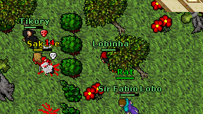 Lobinha on screen