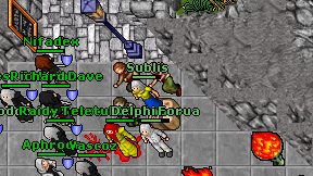 Sublis on screen
