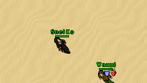 Snel Ko on screen