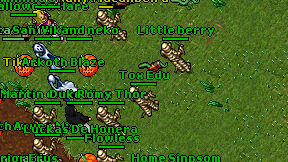 Tox Edu on screen