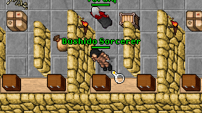 Bushido Sorcerer on screen