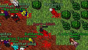 Dark-Xibit on screen