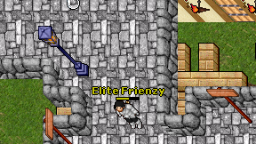 Elite Frienzy on screen