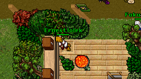 Ernest lolek on screen