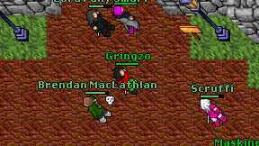 Gringzo on screen