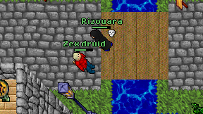 Zex druid on screen
