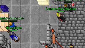 Livellendo on screen