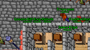 Elf Expert on screen