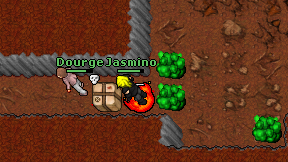 Jasmino on screen