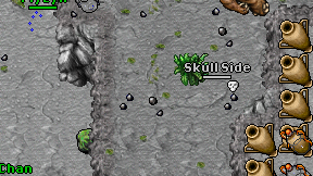Skull Side on screen