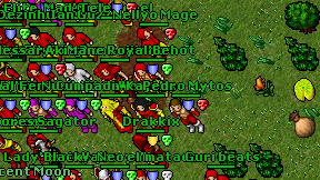 Nellyo Mage on screen