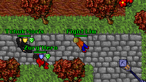 Fight Lim on screen