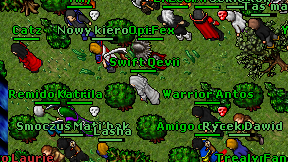 Swift Qevii on screen