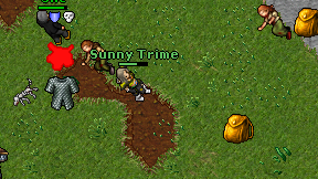 Sunny Trime on screen