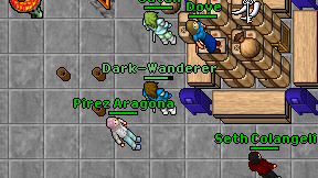 Dark-Wanderer on screen