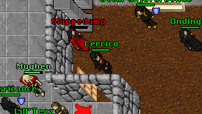 Cercico on screen