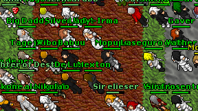 Wibop on screen