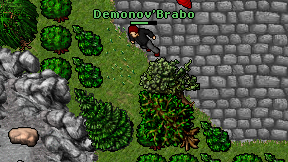 Demonov'Brabo on screen