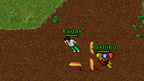 Kagas on screen