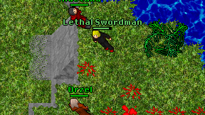 Lethal Swordman on screen