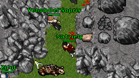 Natziely on screen
