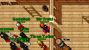 Sir froki on screen