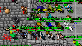 Moggecik on screen