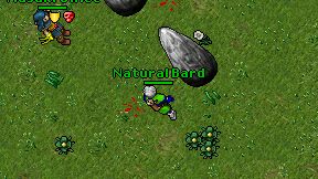 Natural Bard on screen