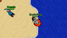 Sadwing on screen