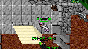Retizix on screen