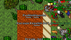 Paozzer on screen