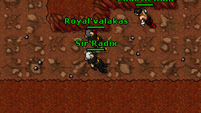 Sir'Radix on screen