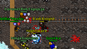 Radi Knight on screen