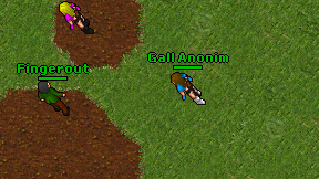 Gall Anonim on screen