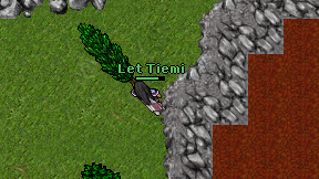 Let Tiemi on screen