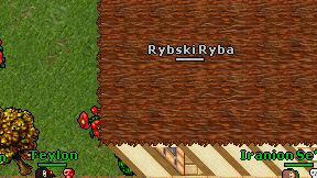 Rybski Ryba on screen