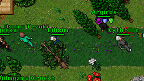 Lilixim on screen