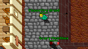 Chaosfire druid on screen
