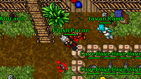 Flash Pacor on screen