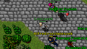 Loocaash on screen