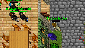 Totesbote on screen