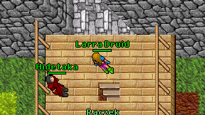 Larra Druid on screen